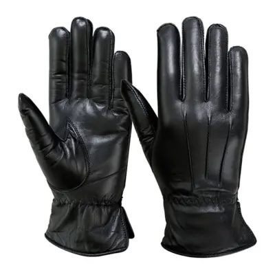 Dressing Gloves